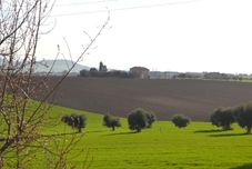 Others B&B Il Tiglio