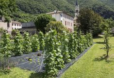 Others 3 Locanda Solagna