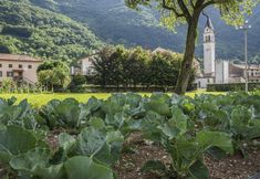 Others 4 Locanda Solagna