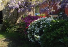 Others 4 B&B Mamma Mia