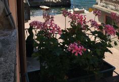 Others 5 Bed & Breakfast Dèco