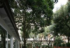 Khác 7 Villa Martini