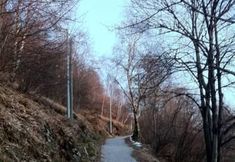 其他 6 Baita Bondella