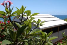 Khác Maho Bay Camps