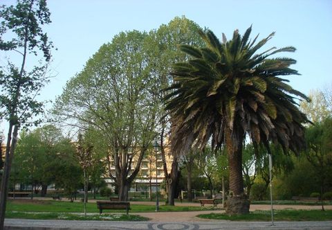 其他 Pensão Residencial Luanda