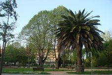 其他 Pensão Residencial Luanda