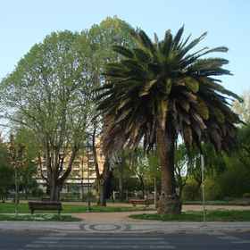 Pensão Residencial Luanda1 , 飯店托马尔(圣若昂·包蒂斯塔)