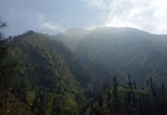 Others 4 Losmen Setia Kawan Ii