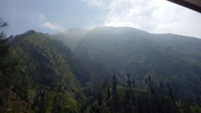 Others 4 Losmen Setia Kawan Ii