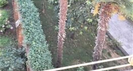 Lain-lain 2 Corte Emo