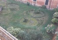 Lain-lain 3 Corte Emo