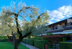 Others 4 Hotel Ulivi Lago d'Iseo