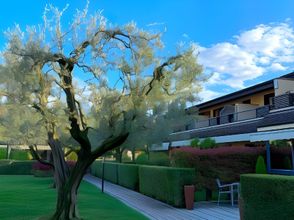 Others 4 Hotel Ulivi Lago d'Iseo