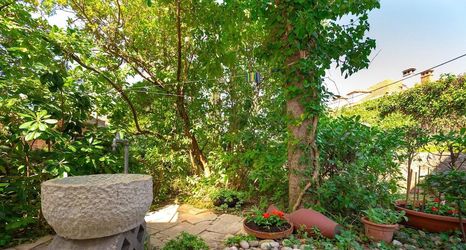 Others 2 Hedera Estate - Hedera S4