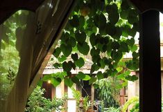 Others 4 Ellina's Staycation Classic House Kl