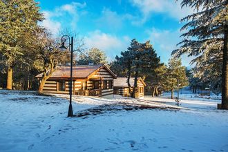 Others 4 Spil Orman Koskleri