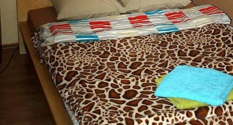 Khác 2 Hostel Giraffe