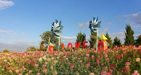 其他 2 The Bloom By Tv Pool