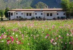 Others 3 The Bloom By Tv Pool