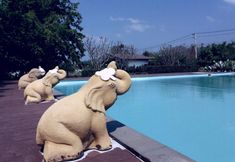 Khác 6 The Bloom By Tv Pool