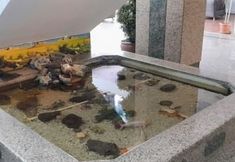 Others 2 Grand Uzcan