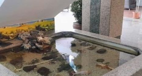 Others 2 Grand Uzcan