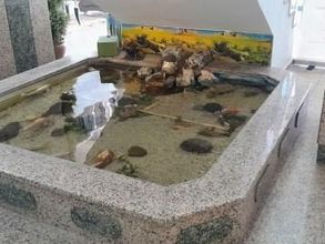 Others 4 Grand Uzcan