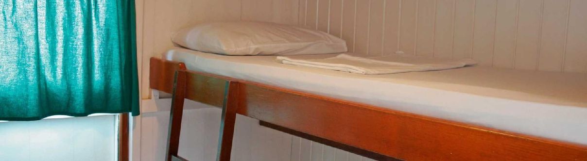 Others Amazon Clipper Traditional Fleet