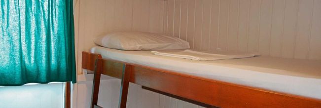 其他 Amazon Clipper Traditional Fleet