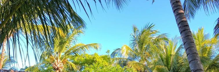 その他 Casa Acayu