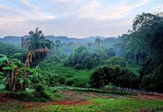 Others 3 Theppahrak Home