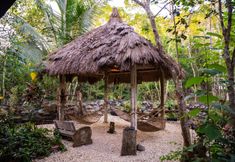 Others 4 Bohol Coco Farm Hostel