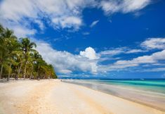 Others 2 Bohol Coco Farm Hostel