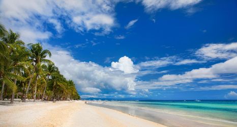 Others 2 Bohol Coco Farm Hostel