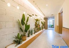 기타 3 Jiacheng Hotel (Xiamen Railway Station Vientiane City Branch)