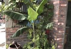 อื่นๆ 3 Origo Hotel Da Nang