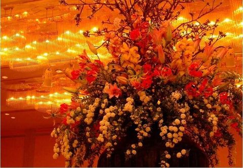 Others Yanai Cruise Hotel