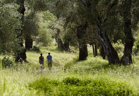 Others MarBella, Mar-Bella Collection