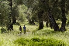 Others MarBella, Mar-Bella Collection