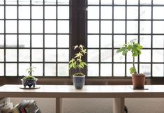 Others 3 Kyoto Guesthouse Tai - Hostel