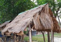 其他 4 Aranya Resort