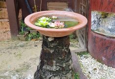 기타 6 Tres Verdes Resort Resto Bar