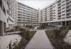 Lainnya 5 P&O Oxygen Wronia 1