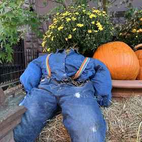 The Melva Inn1 , 飯店191st Street