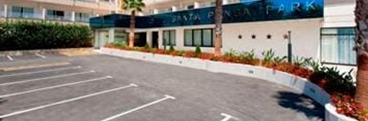 その他 Globales Pionero