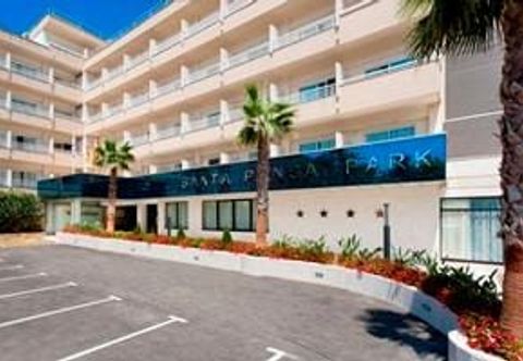 その他 Globales Pionero