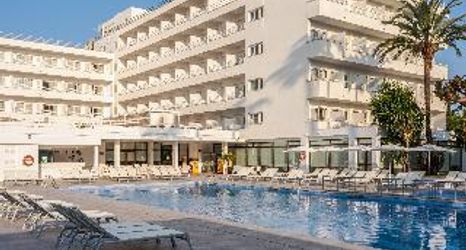 その他 2 Globales Pionero