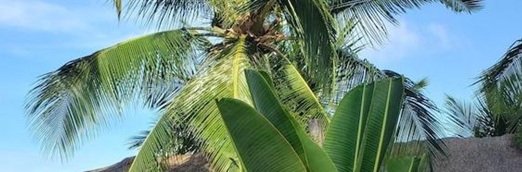 其他 Taipa Dos Milagres