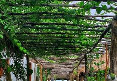 其他 2 Taipa Dos Milagres