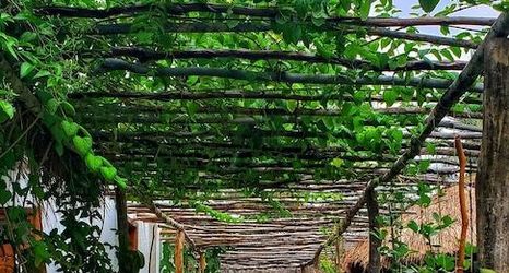 其他 2 Taipa Dos Milagres